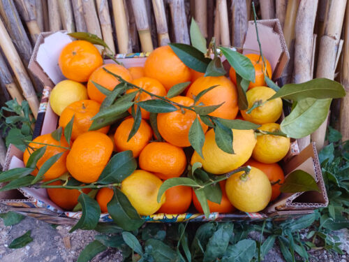 Cassetta contenente agrumi di Sicilia assortiti: arance, mandarini e limoni